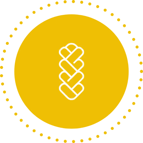 icon-step-box-4_EFBF04-1
